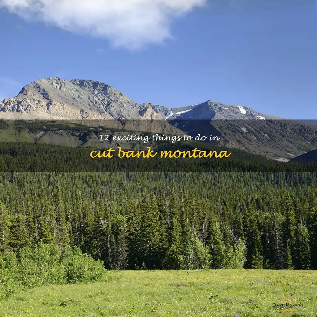 things to do in cut bank montana