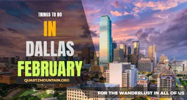 13 Fun and Exciting Things to Do in Dallas in February