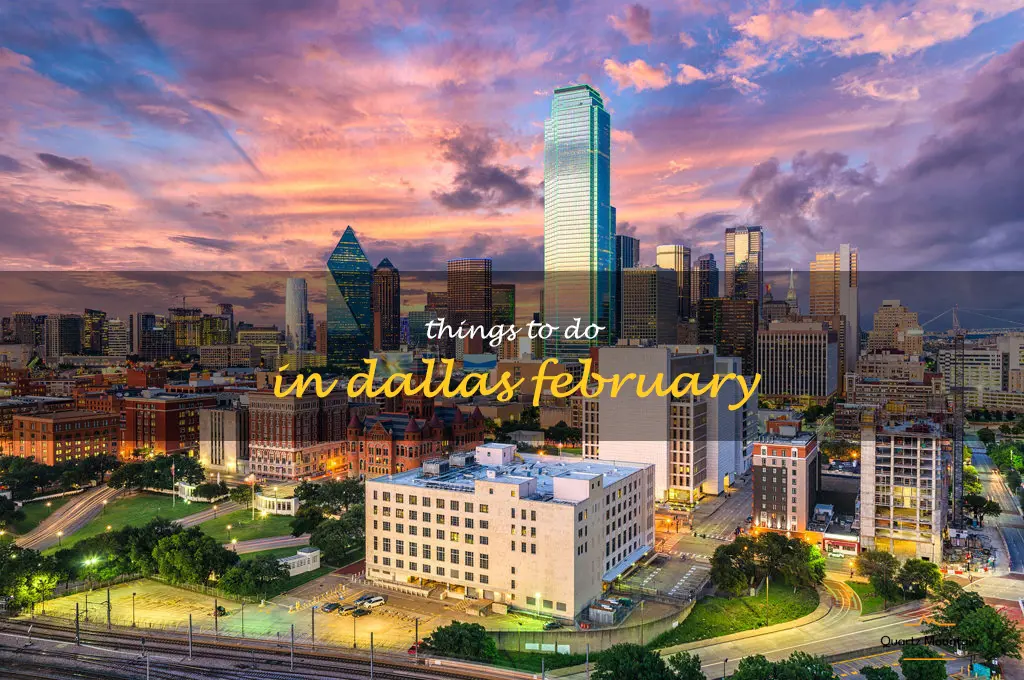 things to do in dallas february