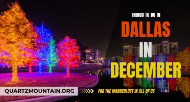 11 Festive Activities to Enjoy in Dallas This December