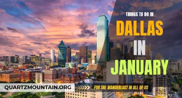 14 Fun Things to Do in Dallas in January