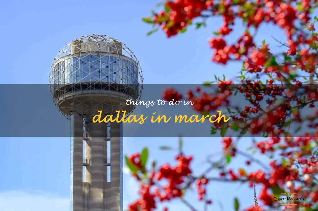 things to do in dallas in march