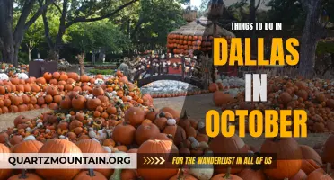 11 Fun Events to Experience in Dallas this October