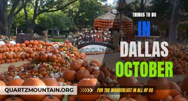 10 Must-Do Activities in Dallas This October