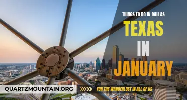 13 Fun Things to Do in Dallas Texas in January