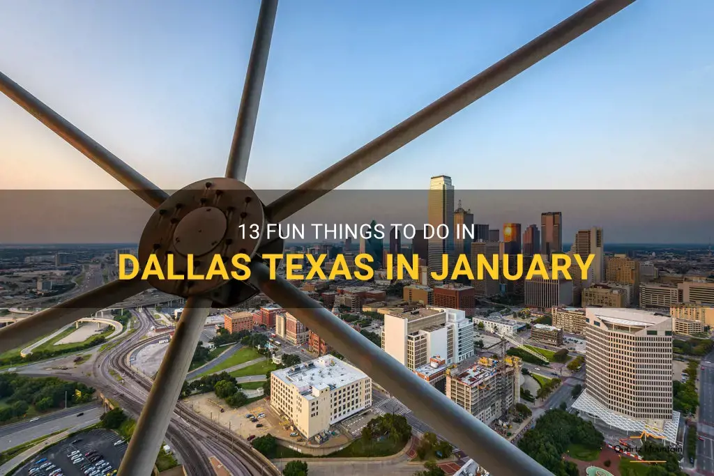 things to do in dallas texas in january