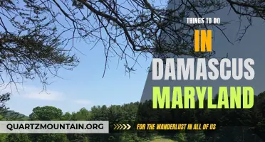 12 fun activities to experience in Damascus, Maryland