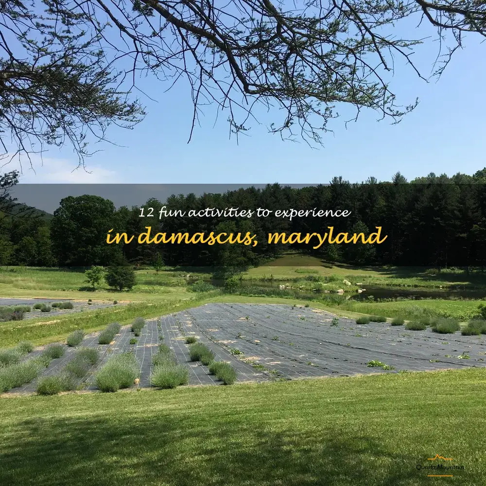 things to do in damascus Maryland