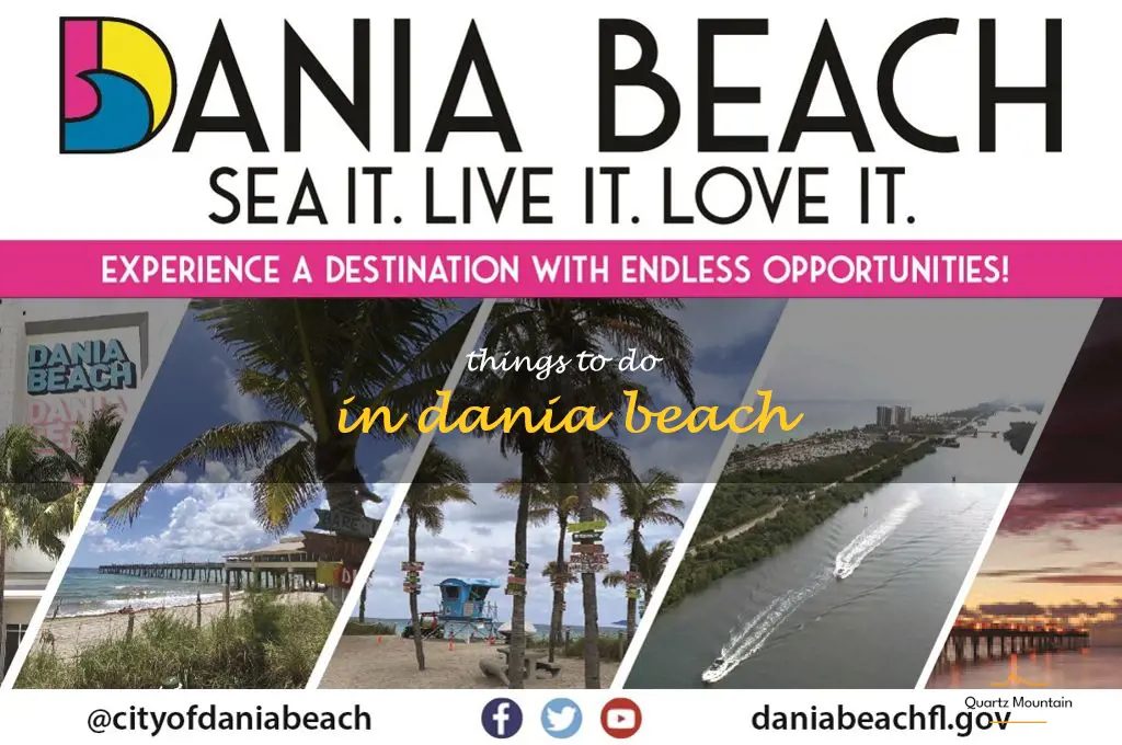 things to do in dania beach