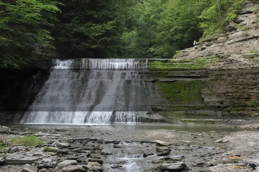 things to do in dansville ny