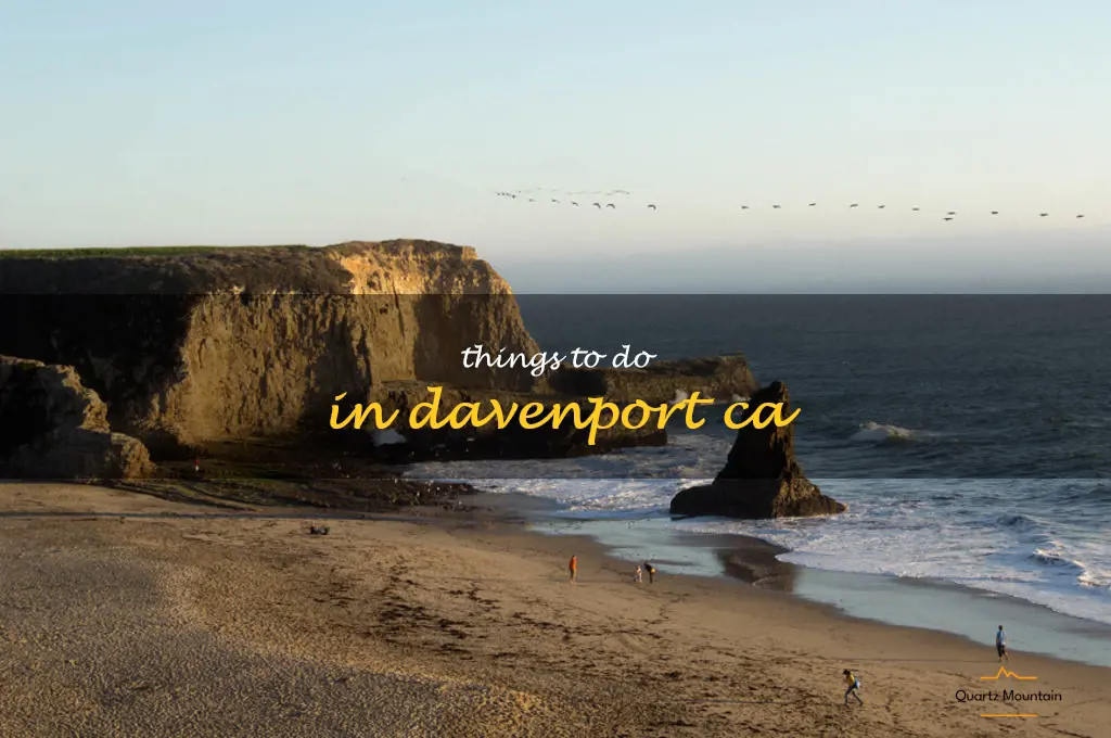 things to do in davenport ca