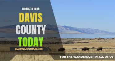 12 Fun Activities to Experience in Davis County Today