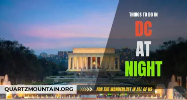 13 Fun Things to Do in DC at Night