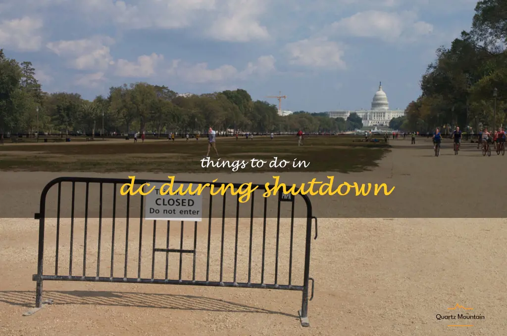 things to do in dc during shutdown