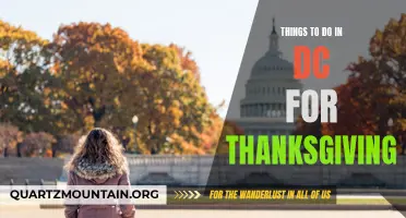 11 Ways to Celebrate Thanksgiving in Washington DC