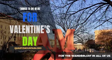 14 Romantic Things to Do in DC for Valentine's Day