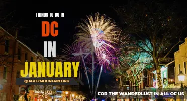 12 Fun Things to Do in DC in January