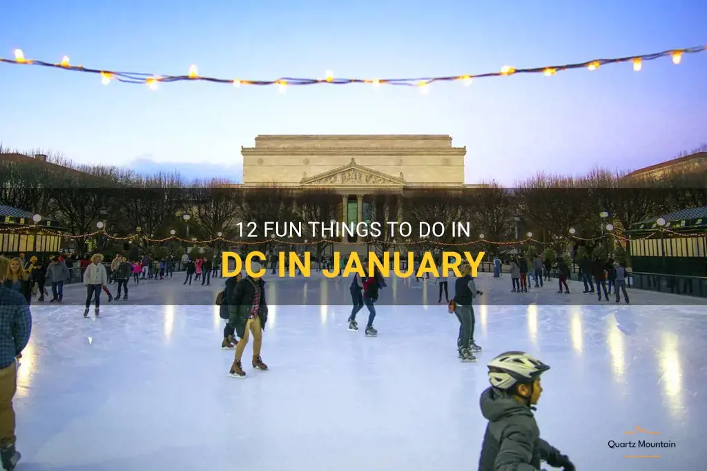 12 Fun Things To Do In Dc In January QuartzMountain