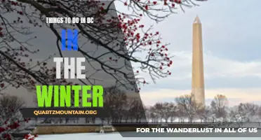 10 Best Winter Activities to Experience in DC