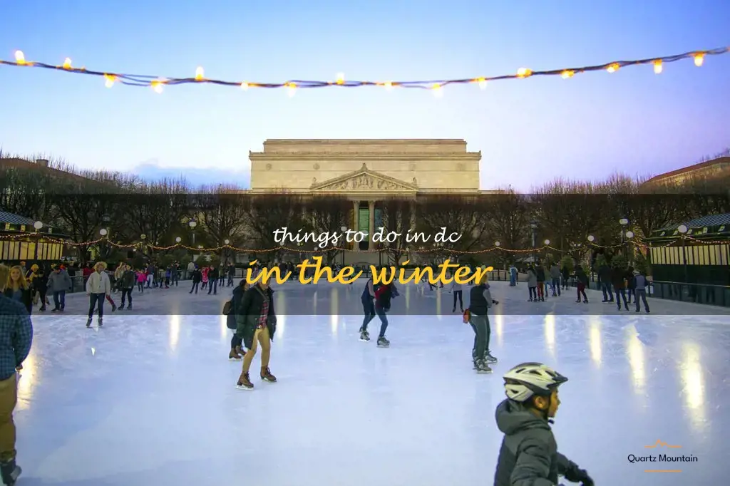 things to do in dc in the winter