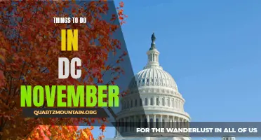 10 Exciting Activities to Do in Washington, DC in November