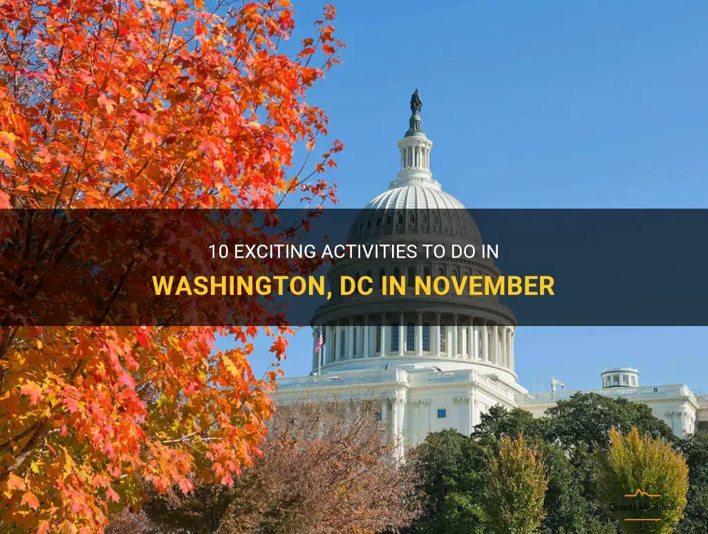 10 Exciting Activities To Do In Washington, Dc In November QuartzMountain