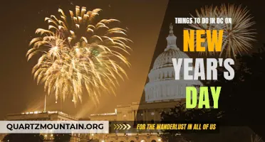 12 Exciting Things to Do in DC on New Year's Day