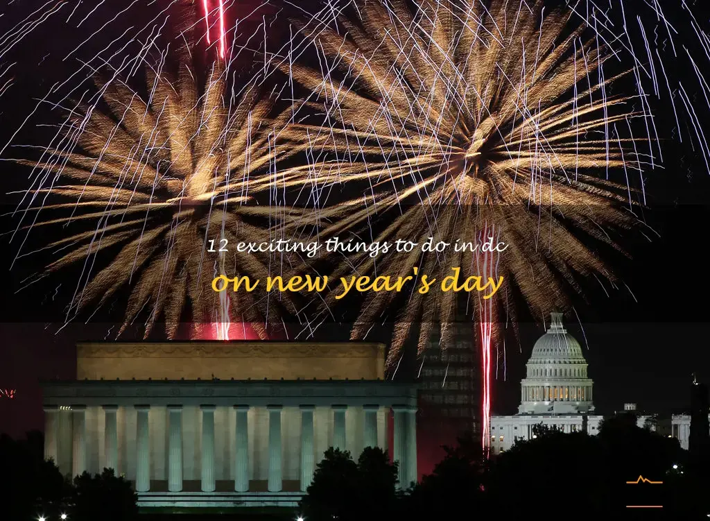 things to do in dc on new year