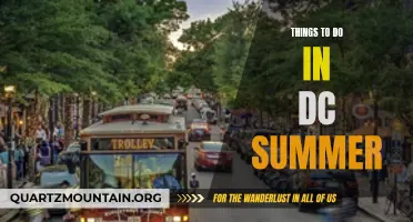 12 Unique Things to Do in DC This Summer