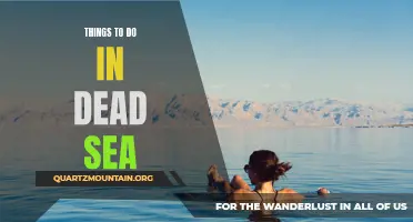 10 Amazing Things to Do in the Dead Sea
