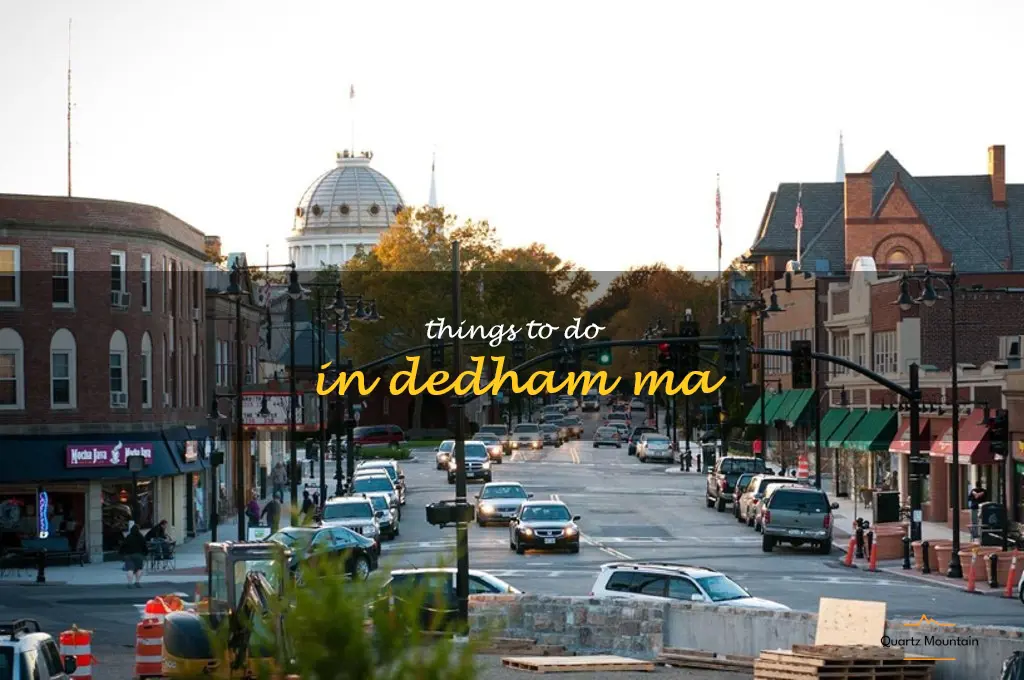 things to do in dedham ma