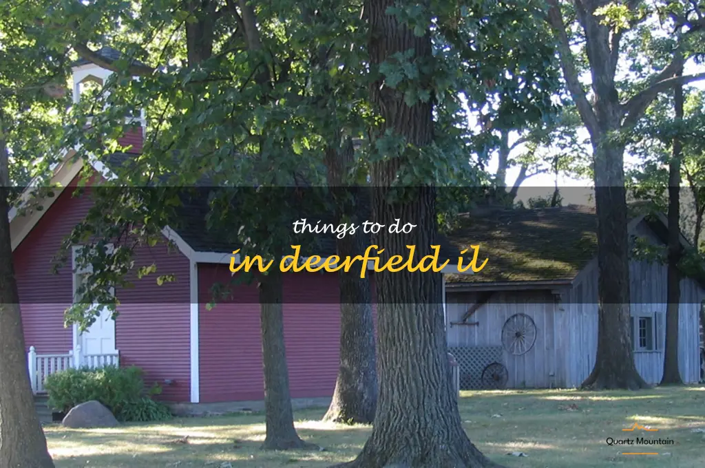 things to do in deerfield il