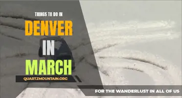 12 Fun Activities to Try in Denver This March