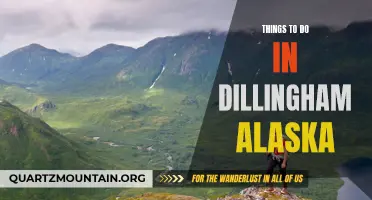 Exploring Dillingham: A Guide to Alaska's Hidden Gem