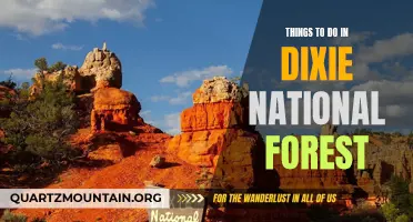 12 Exciting Activities to Experience in Dixie National Forest