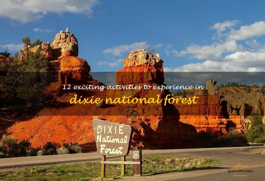 things to do in dixie national forest