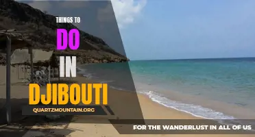 12 Must-Experience Attractions in Djibouti