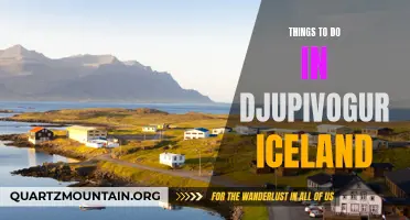 10 Must-See Attractions in Djupivogur, Iceland
