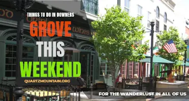 Discover the Best Weekend Activities in Downers Grove