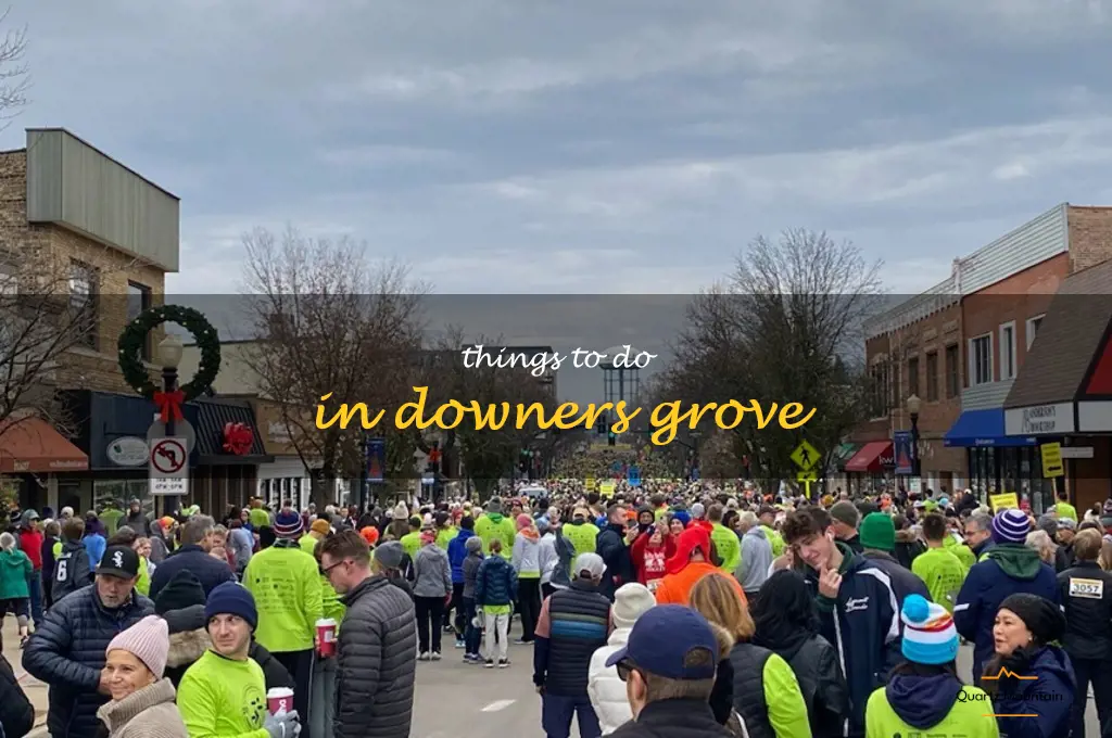 things to do in downers grove