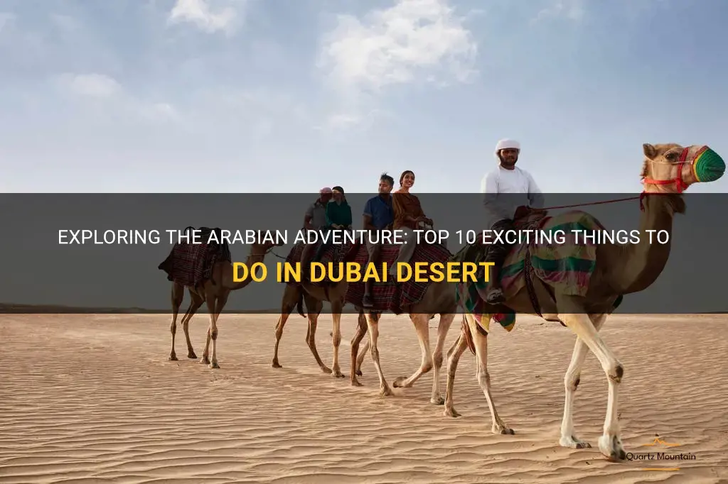 things to do in dubai desert