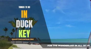 12 Fun Things to Do in Duck Key Florida