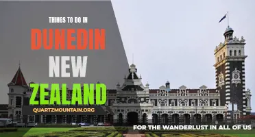 12 Must-See Attractions in Dunedin, New Zealand
