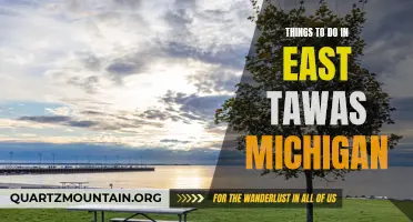 10 Must-Do Activities in East Tawas, Michigan