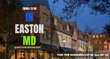 12 Fun Things to Do in Easton, MD