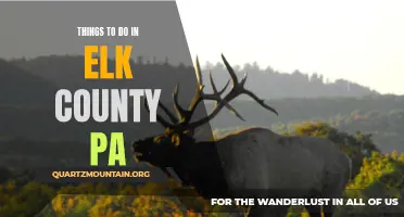13 Fun Activities to Do in Elk County PA