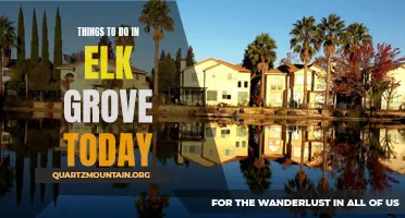 12 Exciting Things to Do in Elk Grove Today