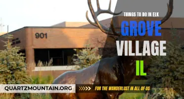 12 Fun Activities to Experience in Elk Grove Village, IL