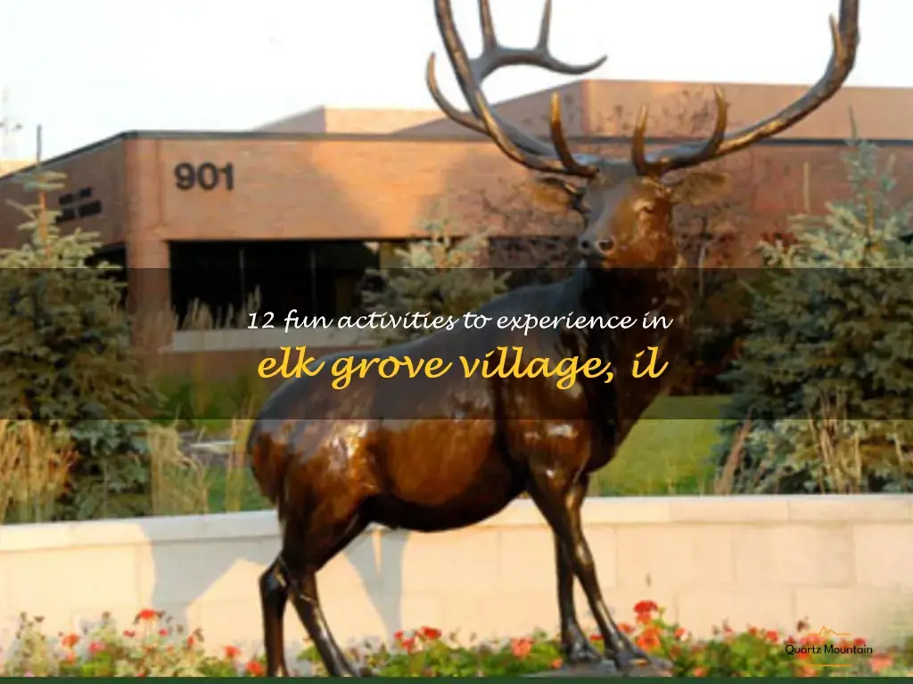 things to do in elk grove village il
