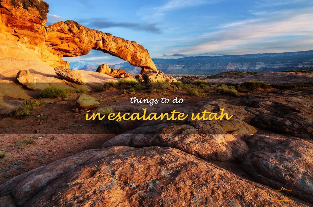 things to do in escalante utah